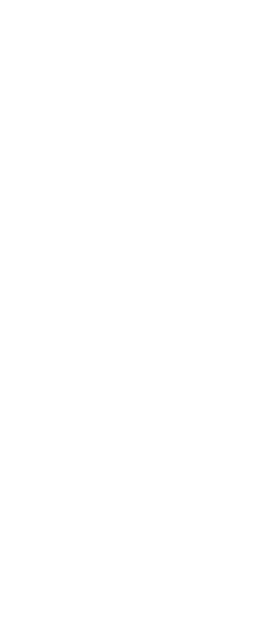 object